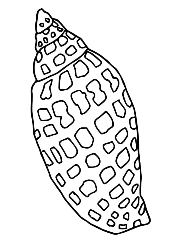 34 Seashell Coloring Pages Printable 20