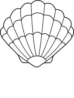 34 Seashell Coloring Pages Printable 22