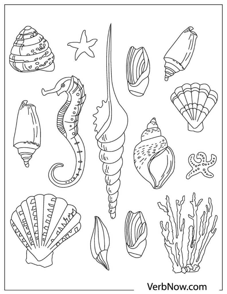 34 Seashell Coloring Pages Printable 26