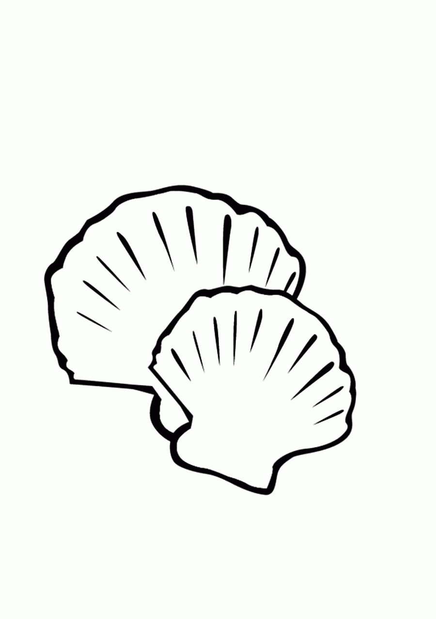 34 Seashell Coloring Pages Printable 27