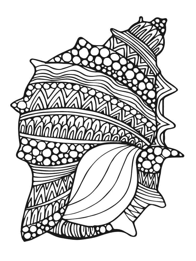 34 Seashell Coloring Pages Printable 28