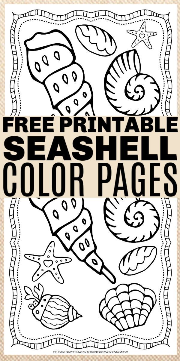 34 Seashell Coloring Pages Printable 29