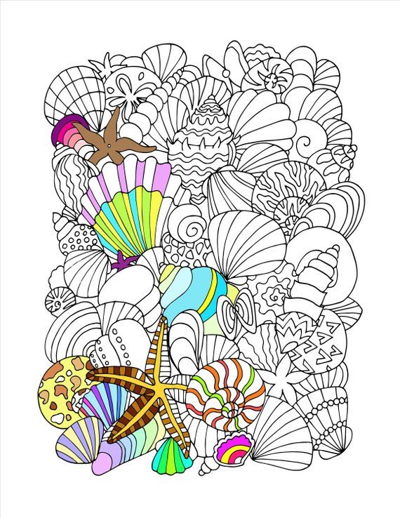 34 Seashell Coloring Pages Printable 31