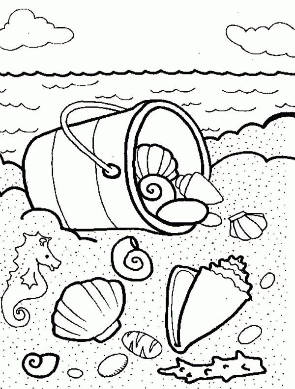 34 Seashell Coloring Pages Printable 8