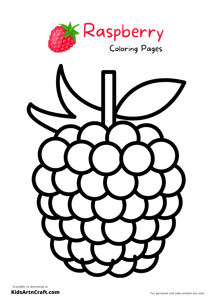 34 Tasty Raspberry Coloring Page Printable 1