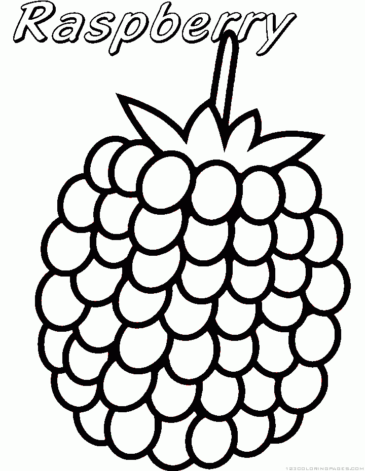 34 Tasty Raspberry Coloring Page Printable 10