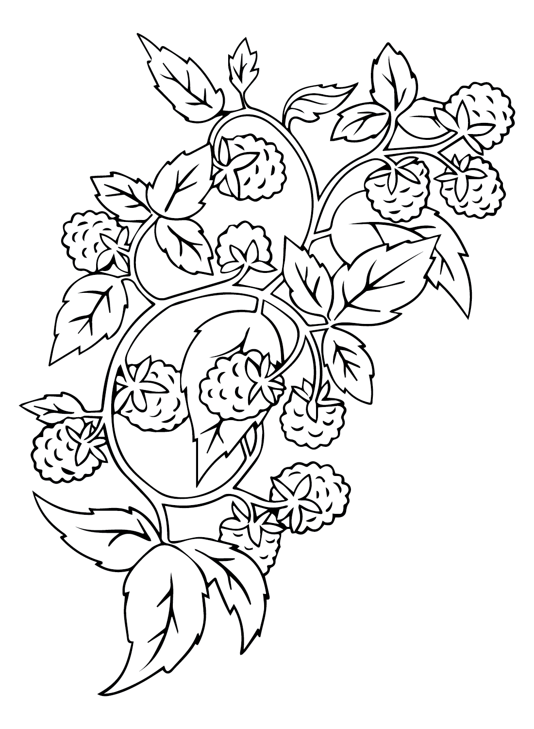 34 Tasty Raspberry Coloring Page Printable 11