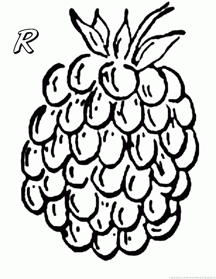 34 Tasty Raspberry Coloring Page Printable 18