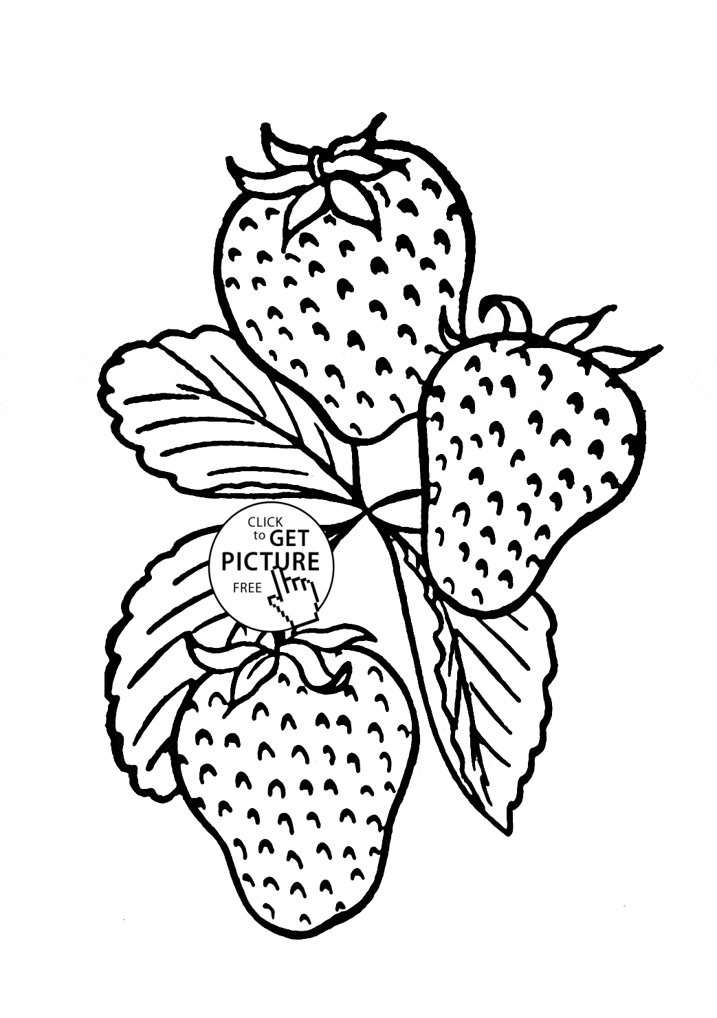 34 Tasty Raspberry Coloring Page Printable 23