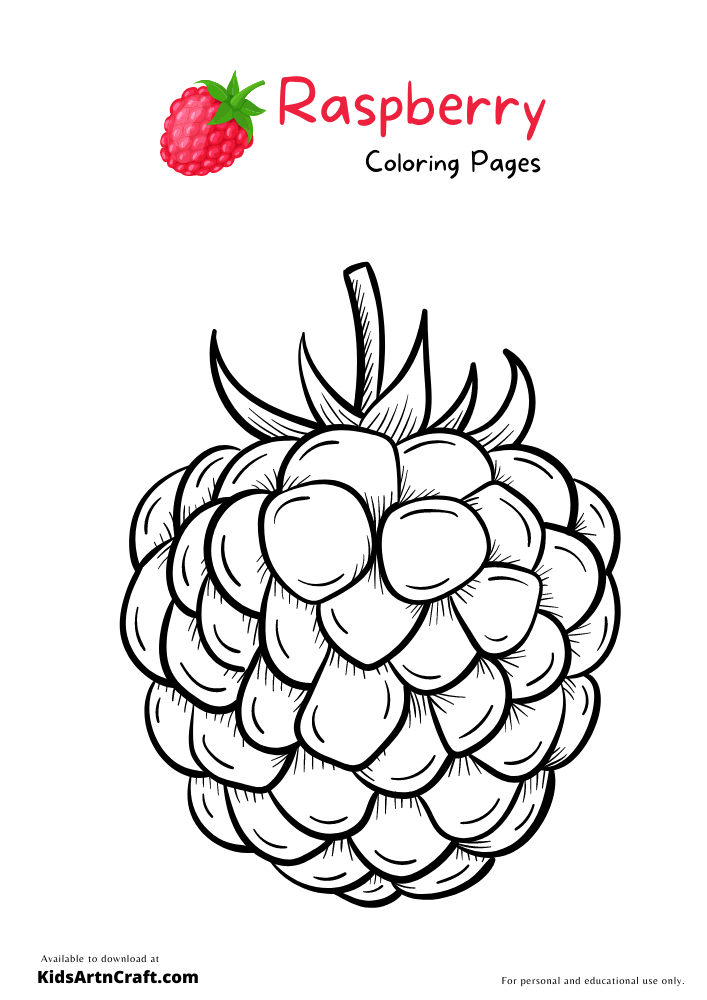 34 Tasty Raspberry Coloring Page Printable 3