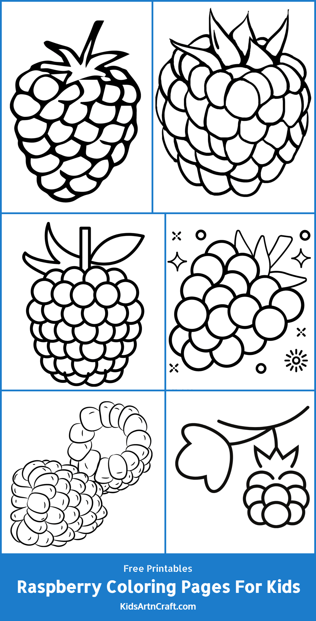 34 Tasty Raspberry Coloring Page Printable 30