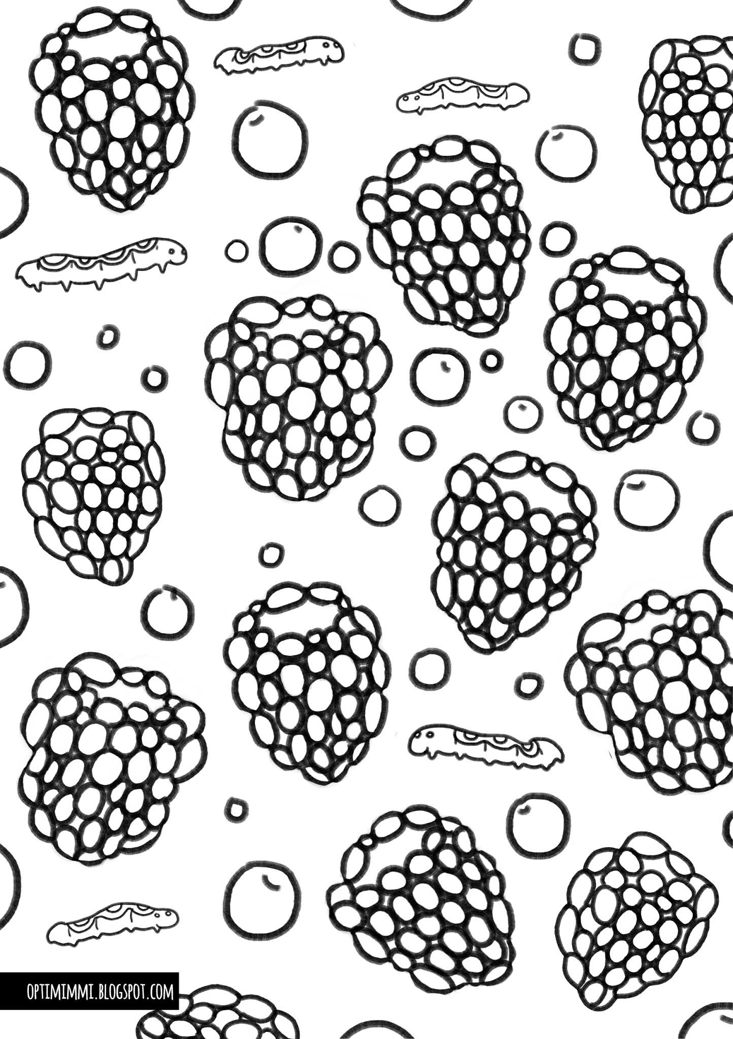 34 Tasty Raspberry Coloring Page Printable 31