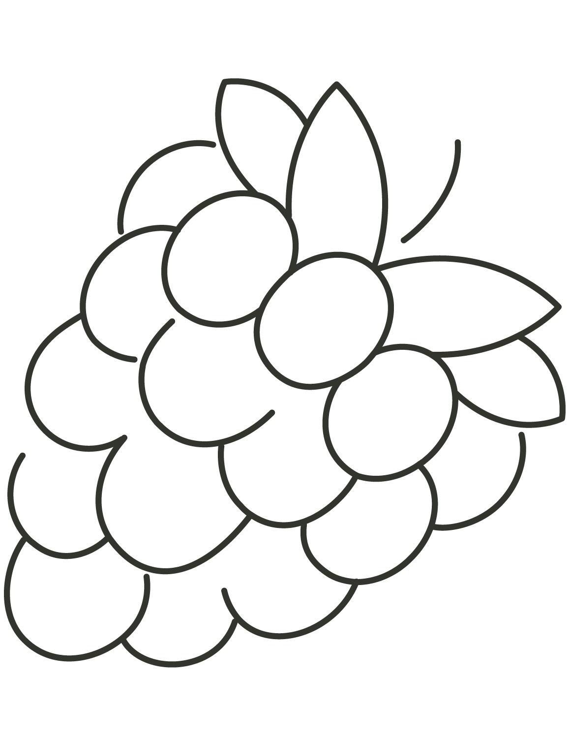 34 Tasty Raspberry Coloring Page Printable 33