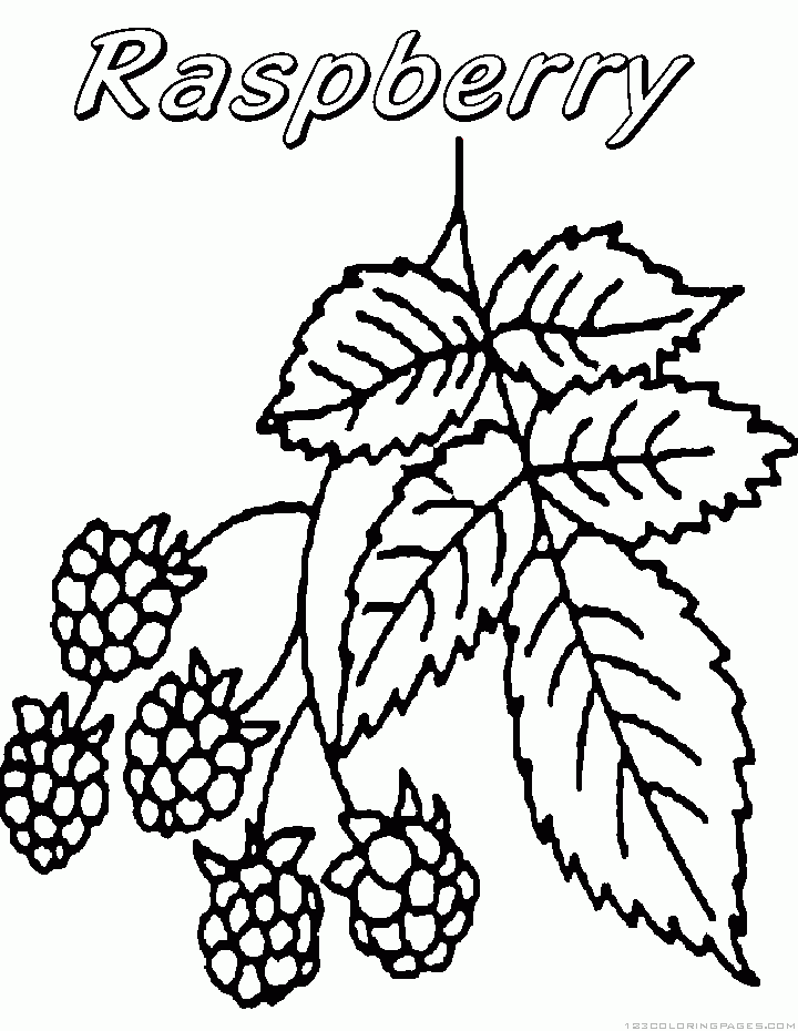 34 Tasty Raspberry Coloring Page Printable 34