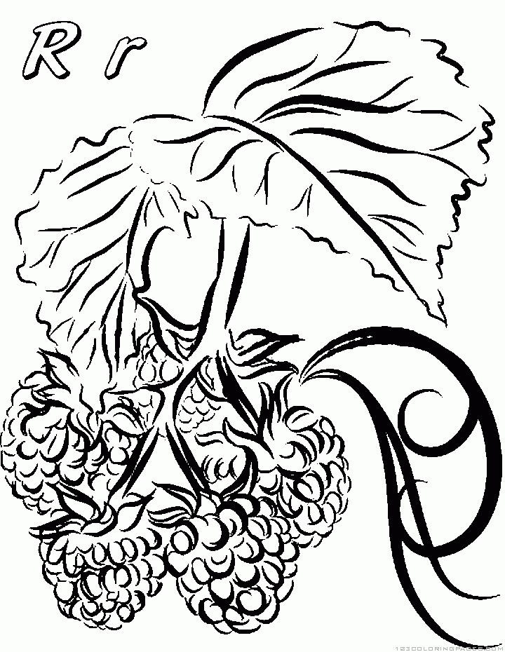 34 Tasty Raspberry Coloring Page Printable 35