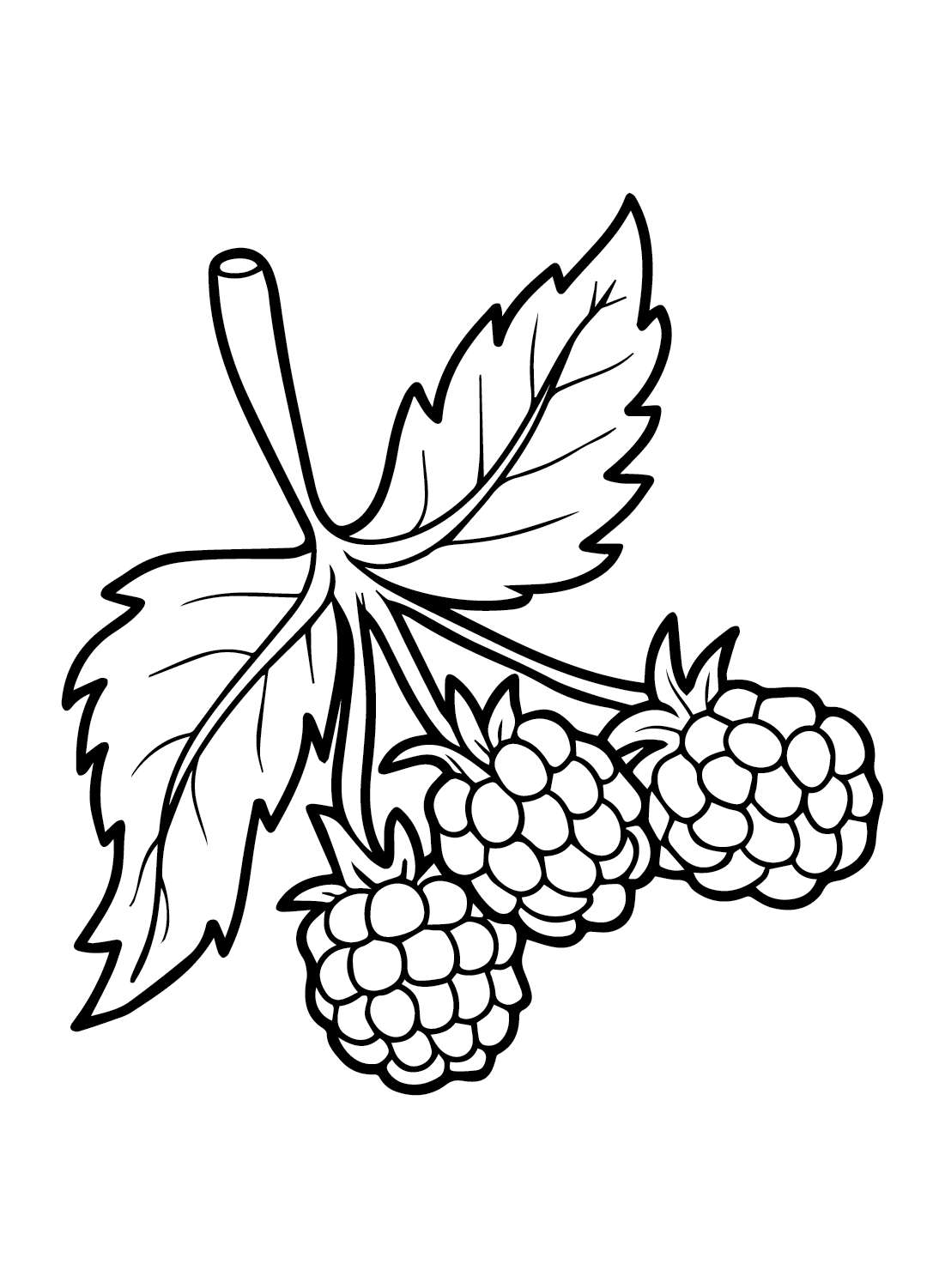 34 Tasty Raspberry Coloring Page Printable 5