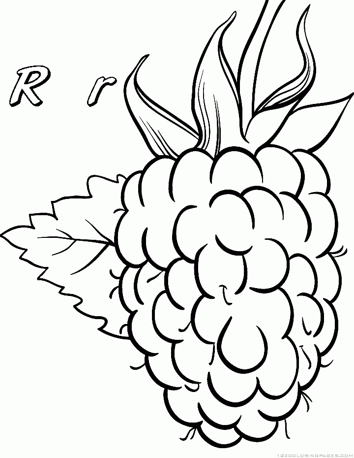 34 Tasty Raspberry Coloring Page Printable 6