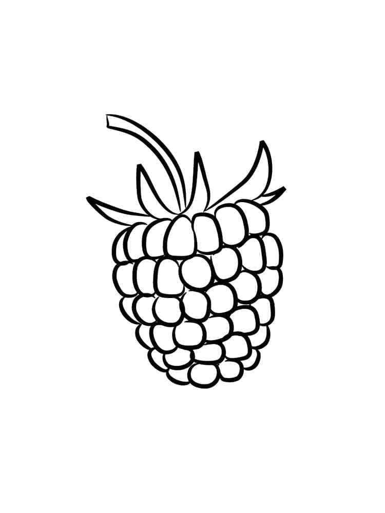 34 Tasty Raspberry Coloring Page Printable 8