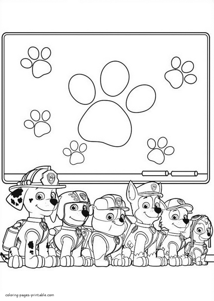 35 Adventurous PAW Patrol Coloring Pages Printable 14