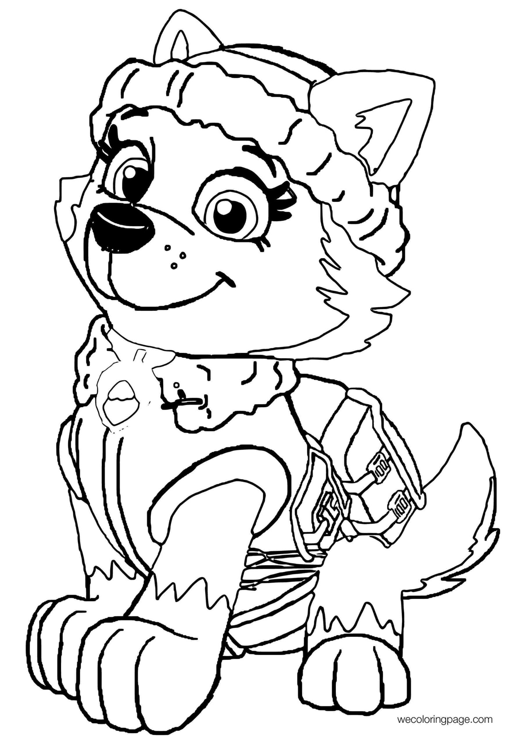 35 Adventurous PAW Patrol Coloring Pages Printable 29