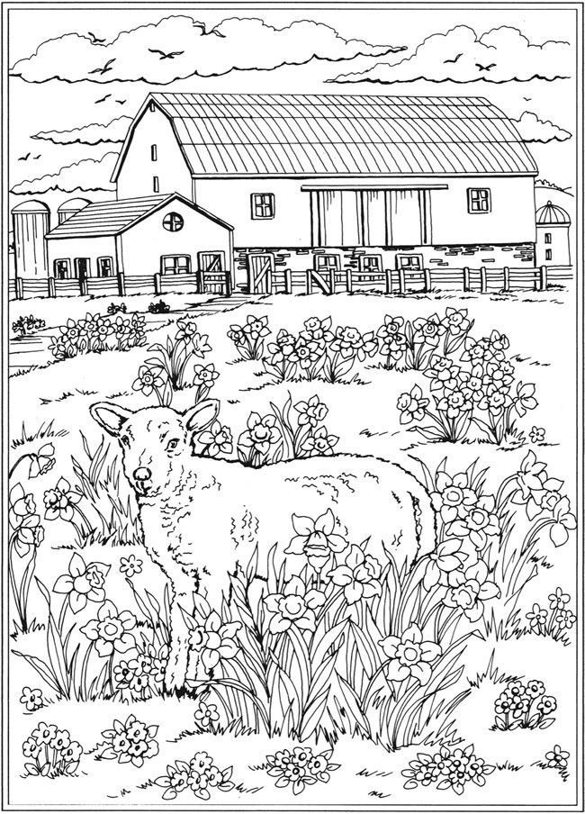 35 Farm Coloring Pages Printable 34