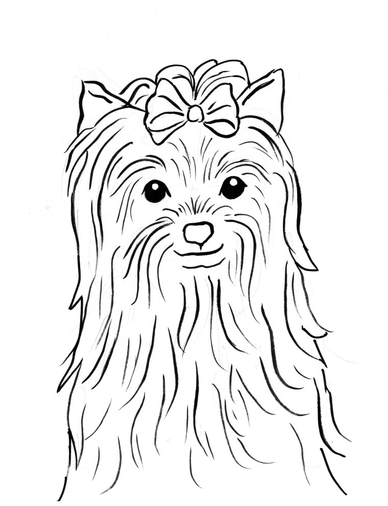 36 Cute Yorkie Coloring Pages Printable 13