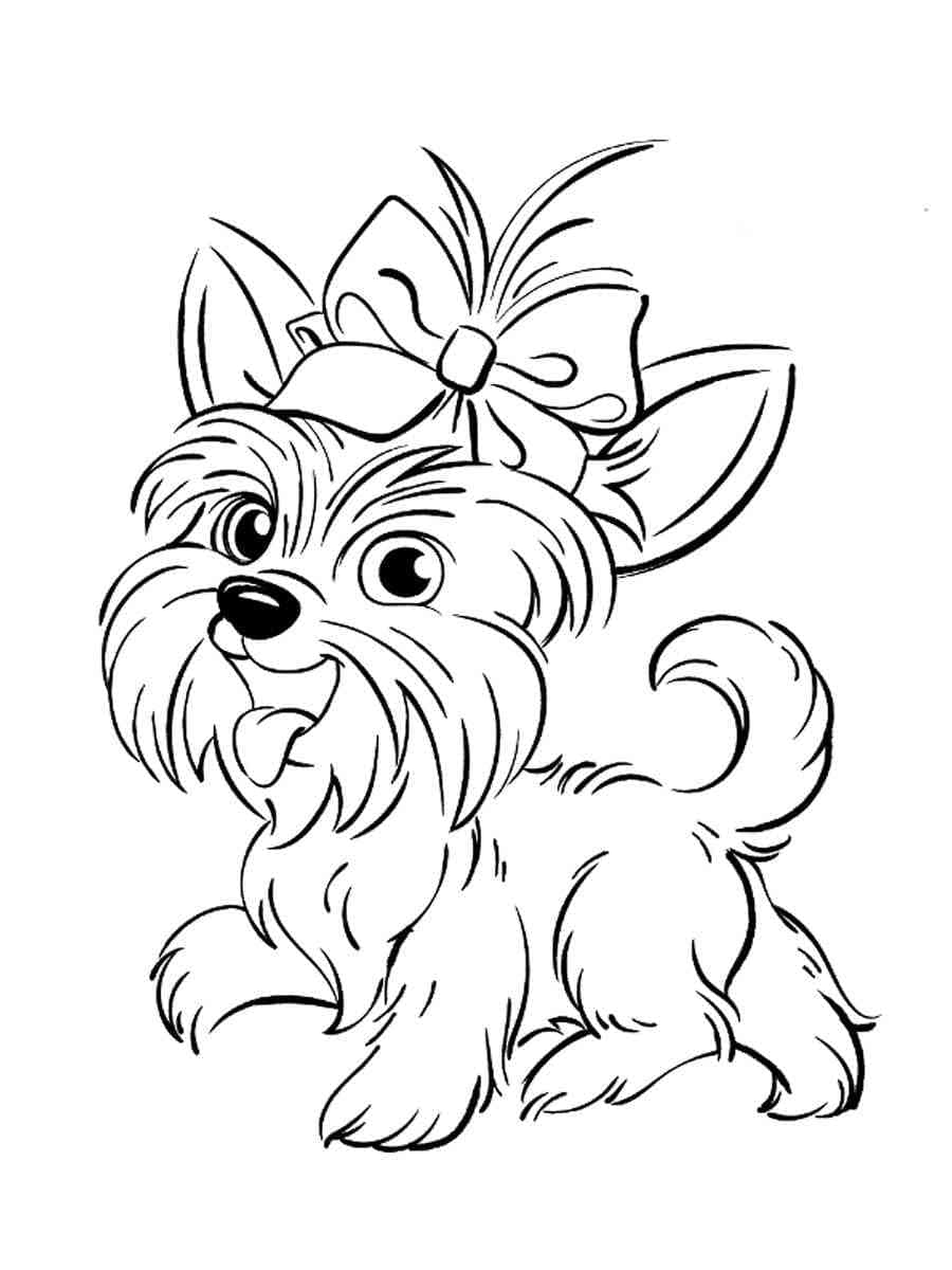 36 Cute Yorkie Coloring Pages Printable 14