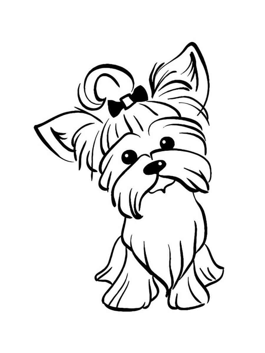 36 Cute Yorkie Coloring Pages Printable 15