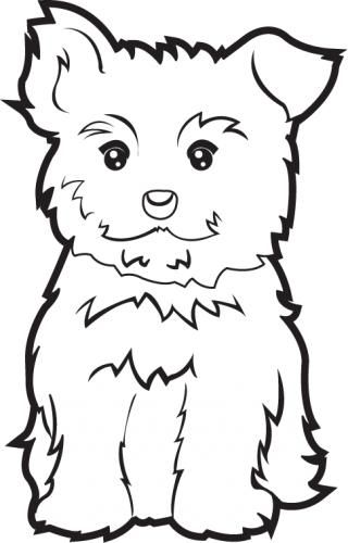 36 Cute Yorkie Coloring Pages Printable 17