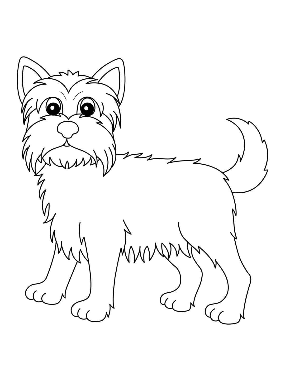 36 Cute Yorkie Coloring Pages Printable 18