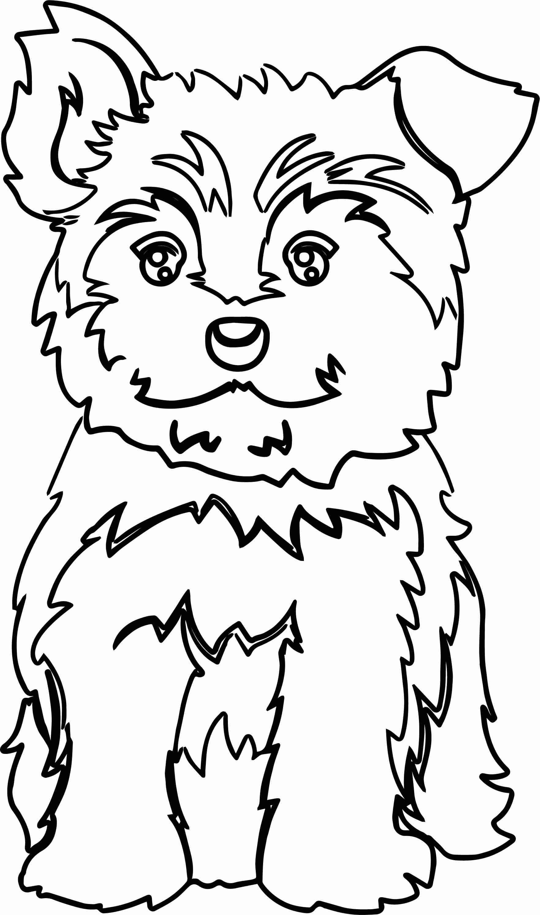 36 Cute Yorkie Coloring Pages Printable 19