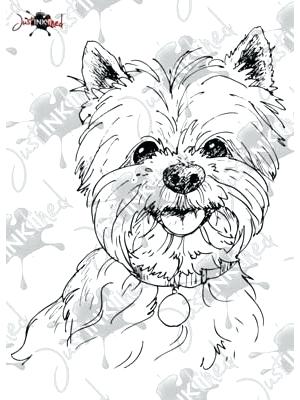 36 Cute Yorkie Coloring Pages Printable 22