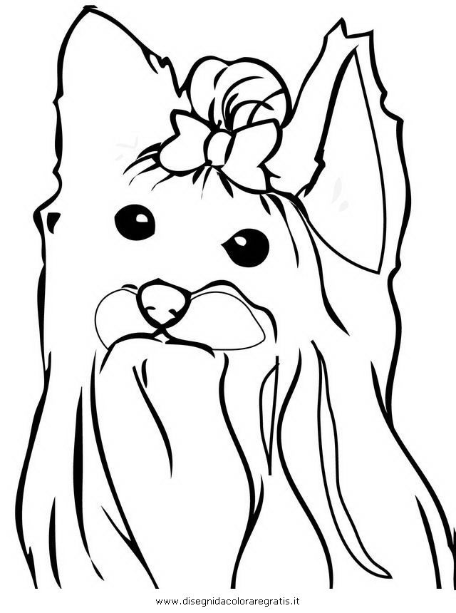 36 Cute Yorkie Coloring Pages Printable 26