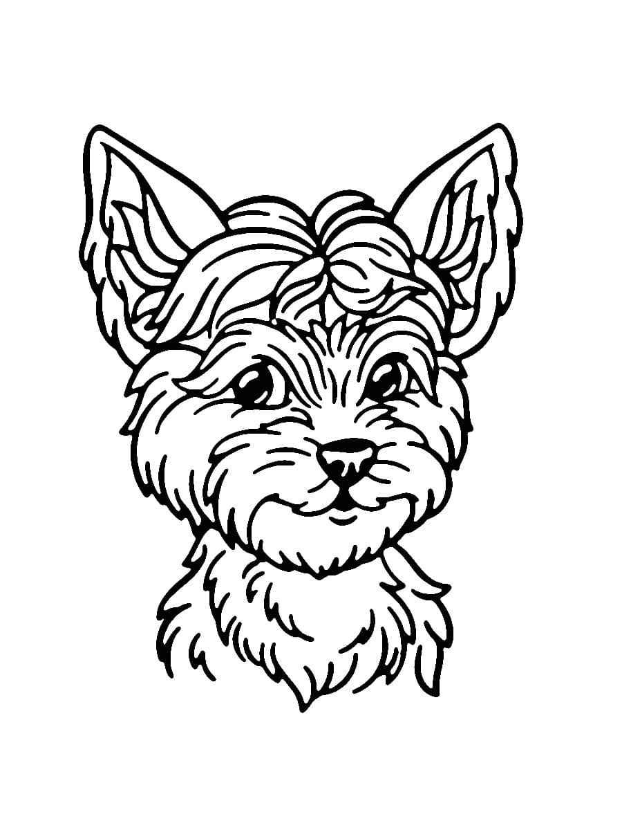 36 Cute Yorkie Coloring Pages Printable 28