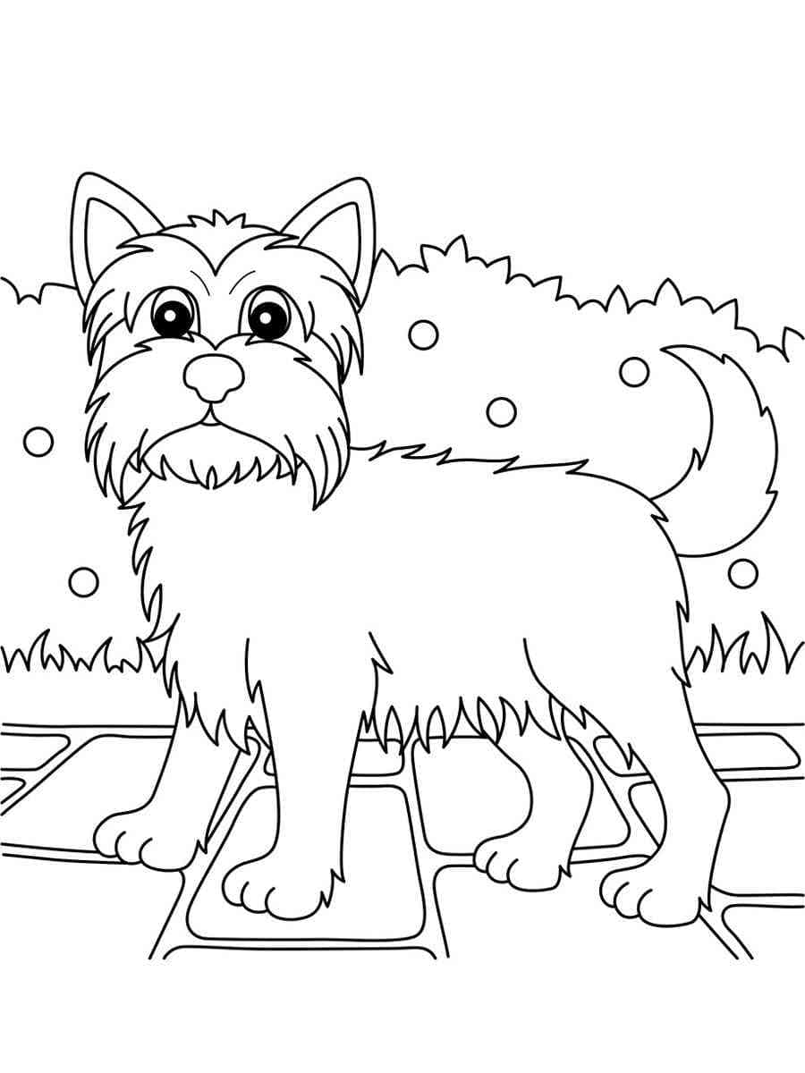 36 Cute Yorkie Coloring Pages Printable 29