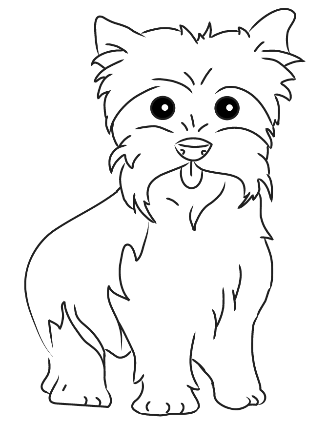 36 Cute Yorkie Coloring Pages Printable 33