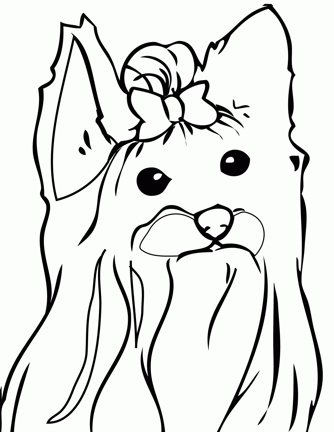 36 Cute Yorkie Coloring Pages Printable 4