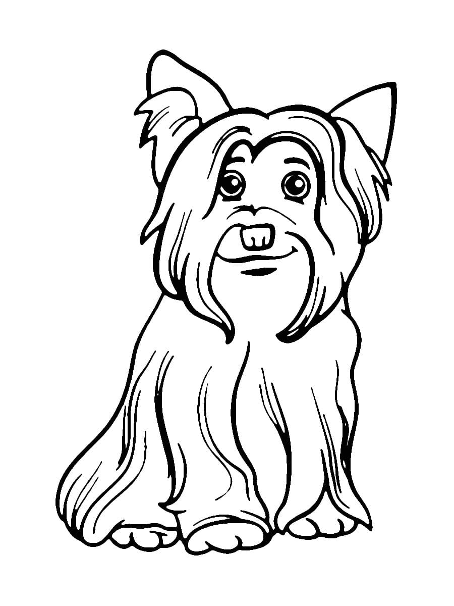 36 Cute Yorkie Coloring Pages Printable 5