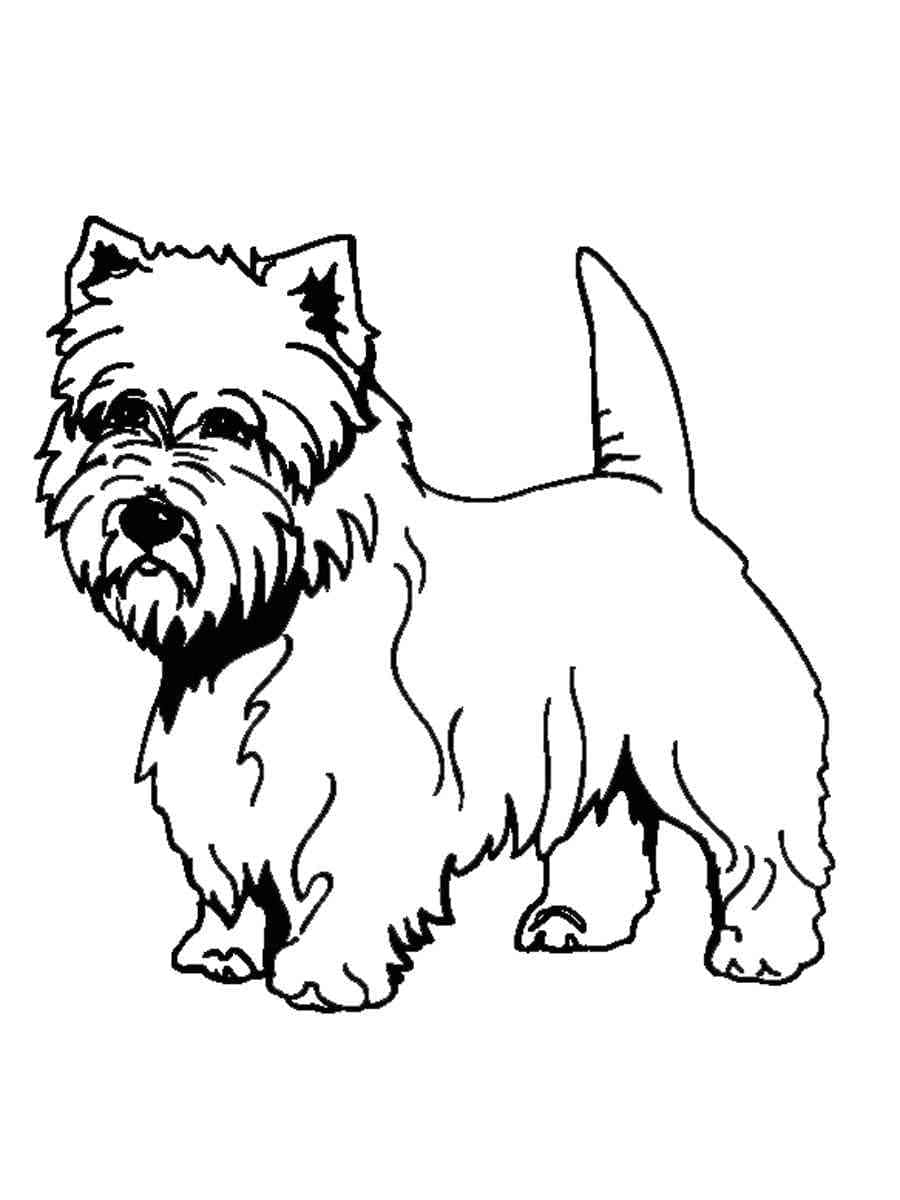 36 Cute Yorkie Coloring Pages Printable 6