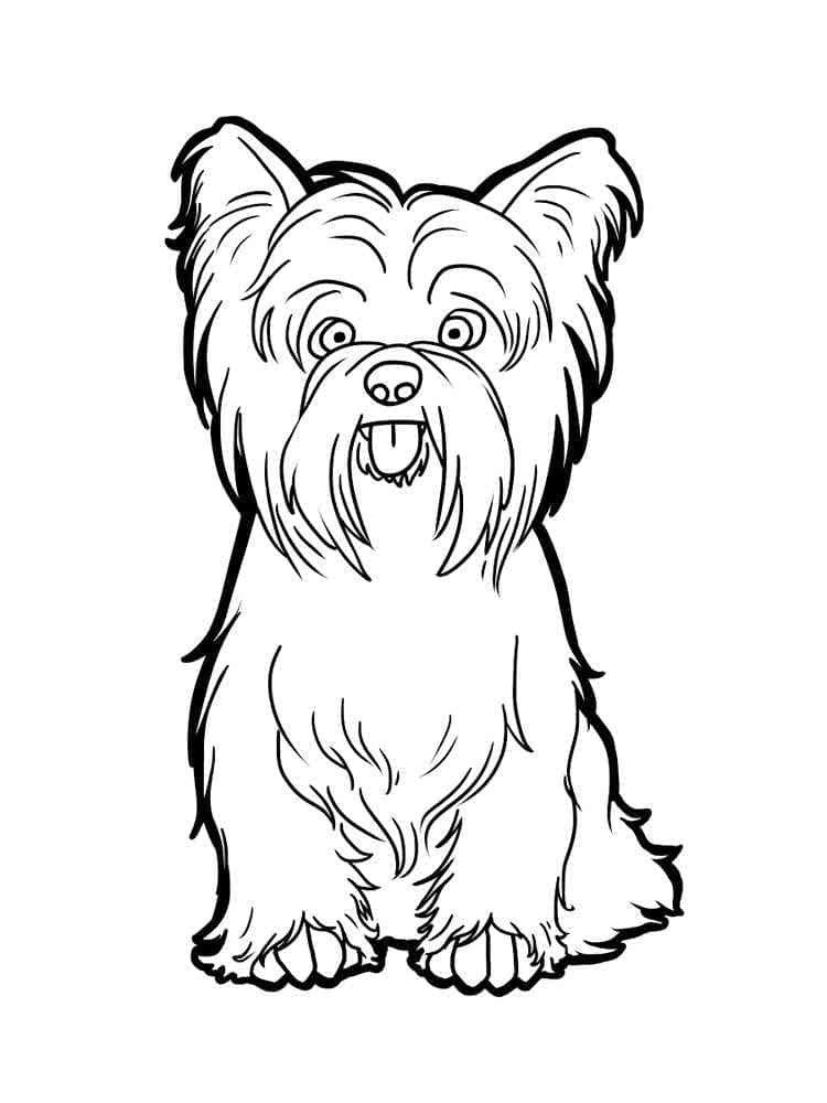 36 Cute Yorkie Coloring Pages Printable 9