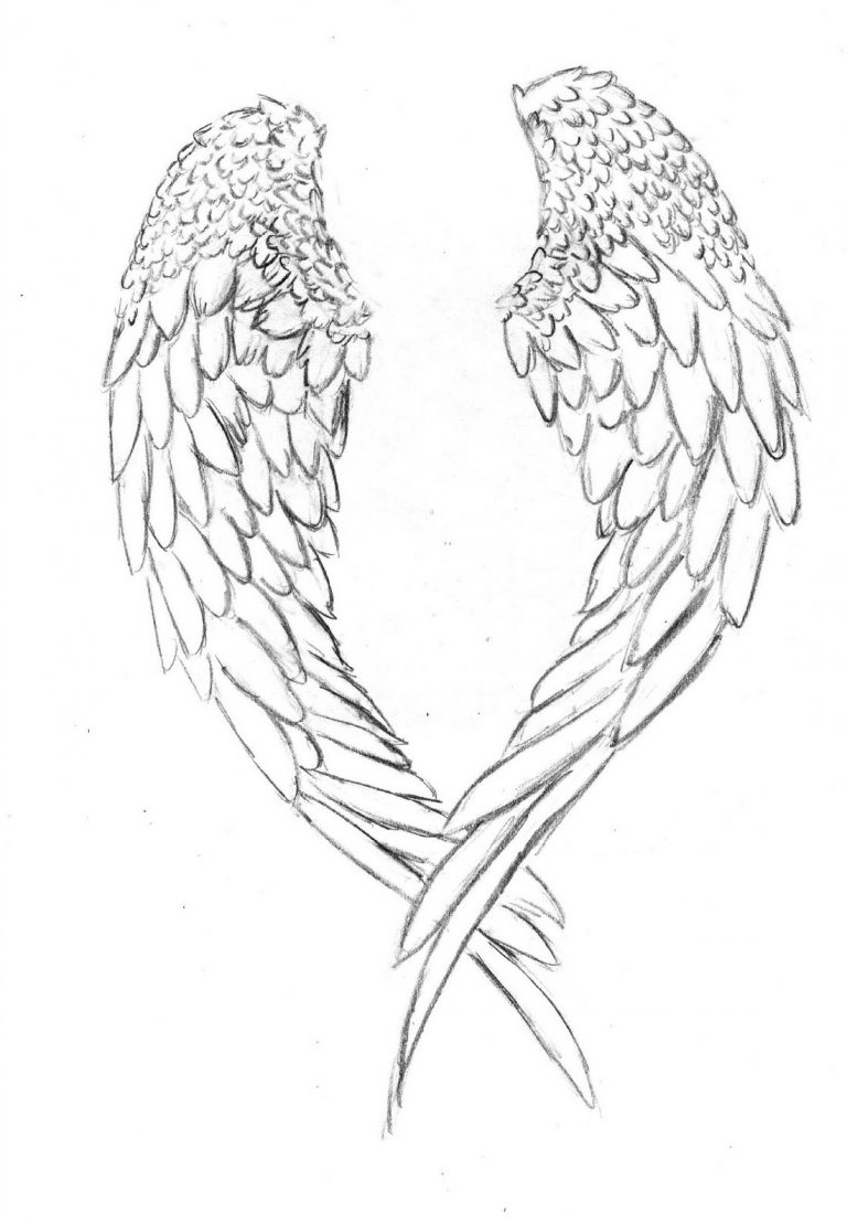 36 Elegant Wing Coloring Pages Printable 2