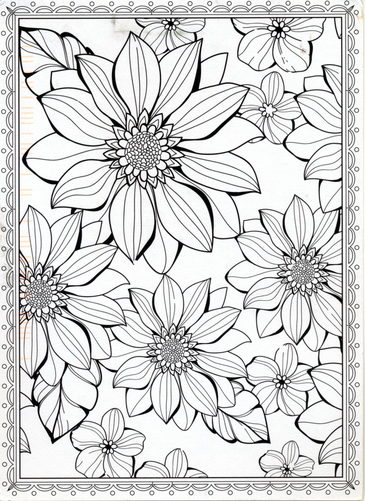 36 Intricate Advanced Flower Coloring Pages Printable 10