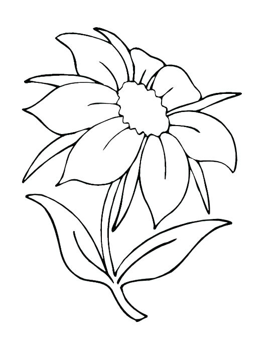 36 Intricate Advanced Flower Coloring Pages Printable 14