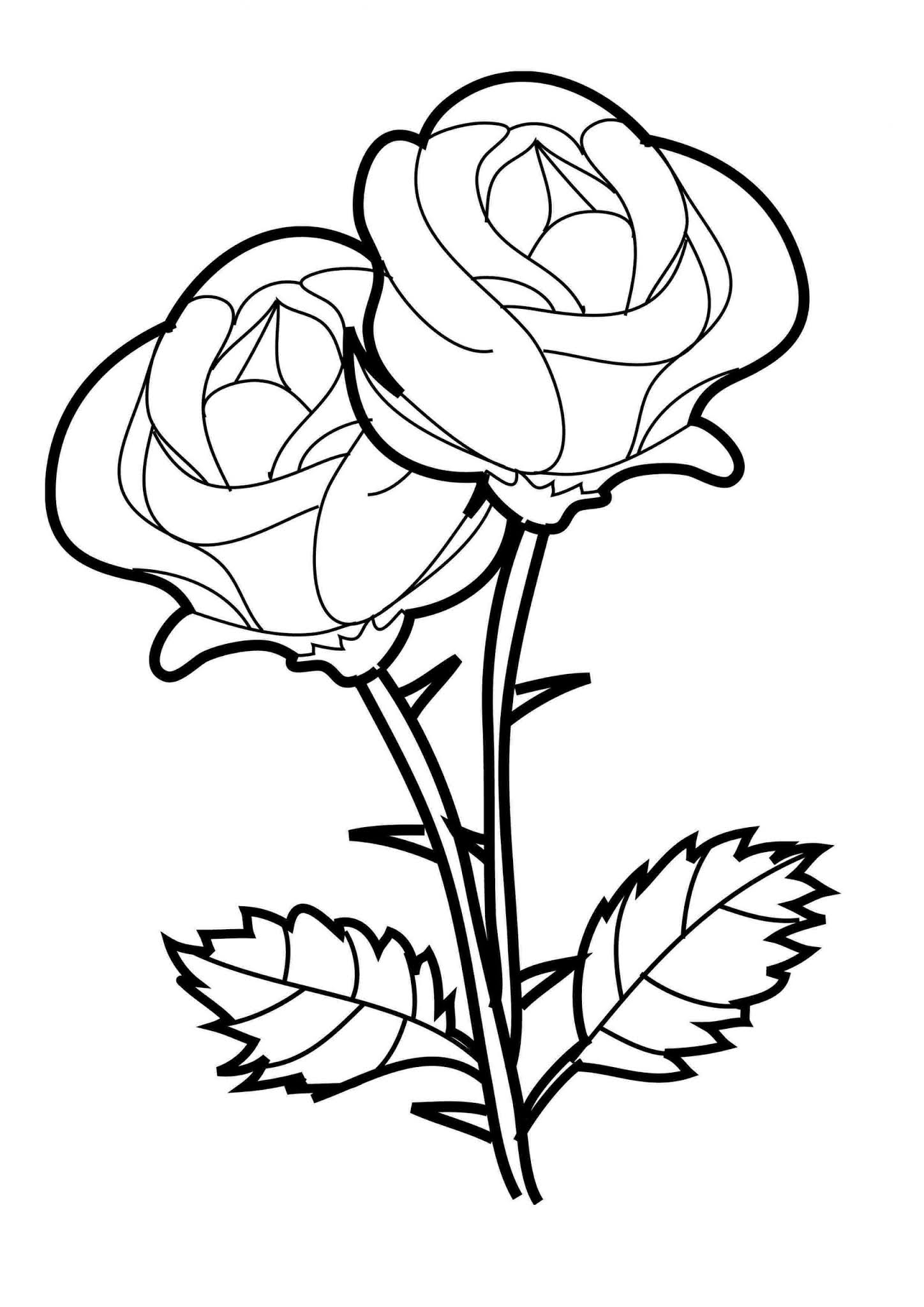 36 Intricate Advanced Flower Coloring Pages Printable 15