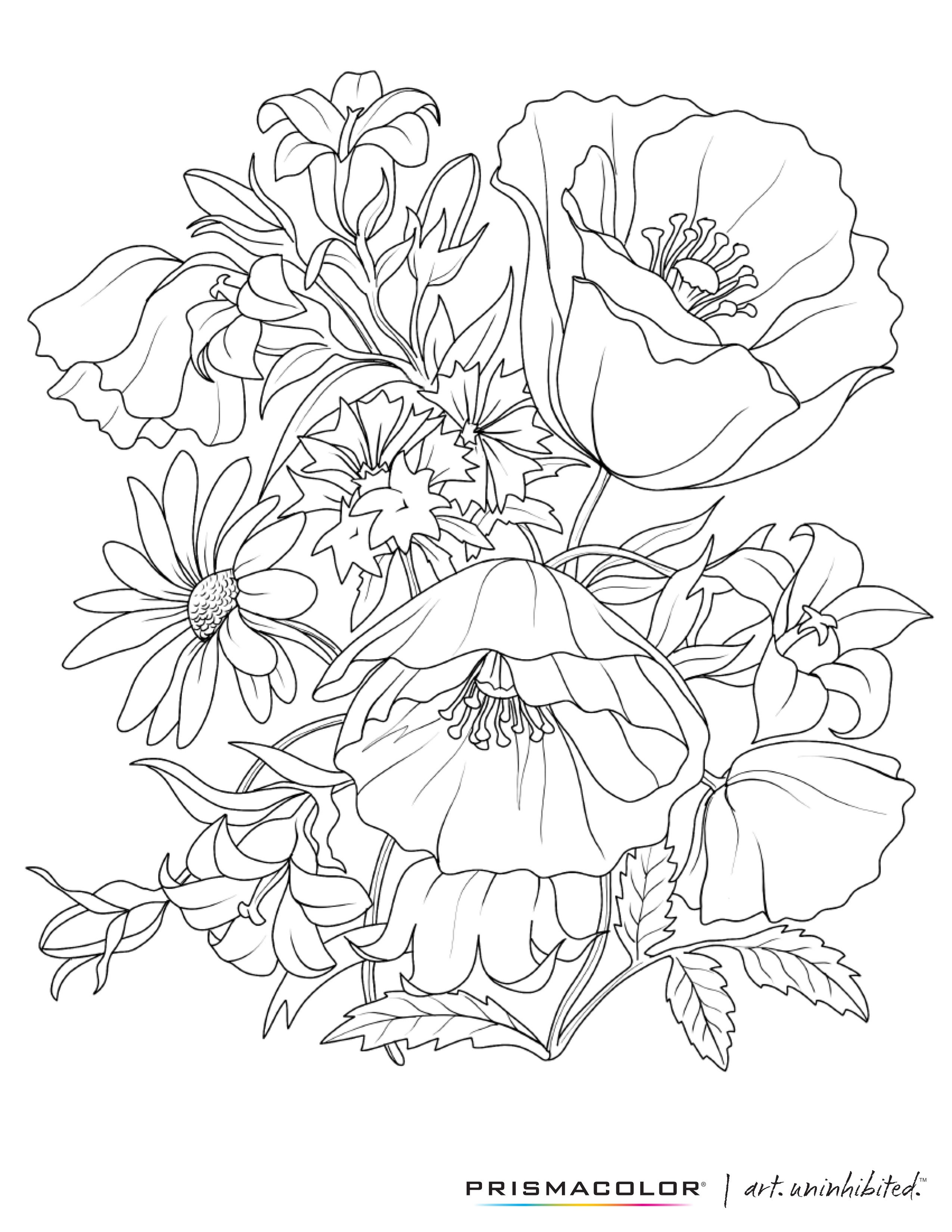 36 Intricate Advanced Flower Coloring Pages Printable 20