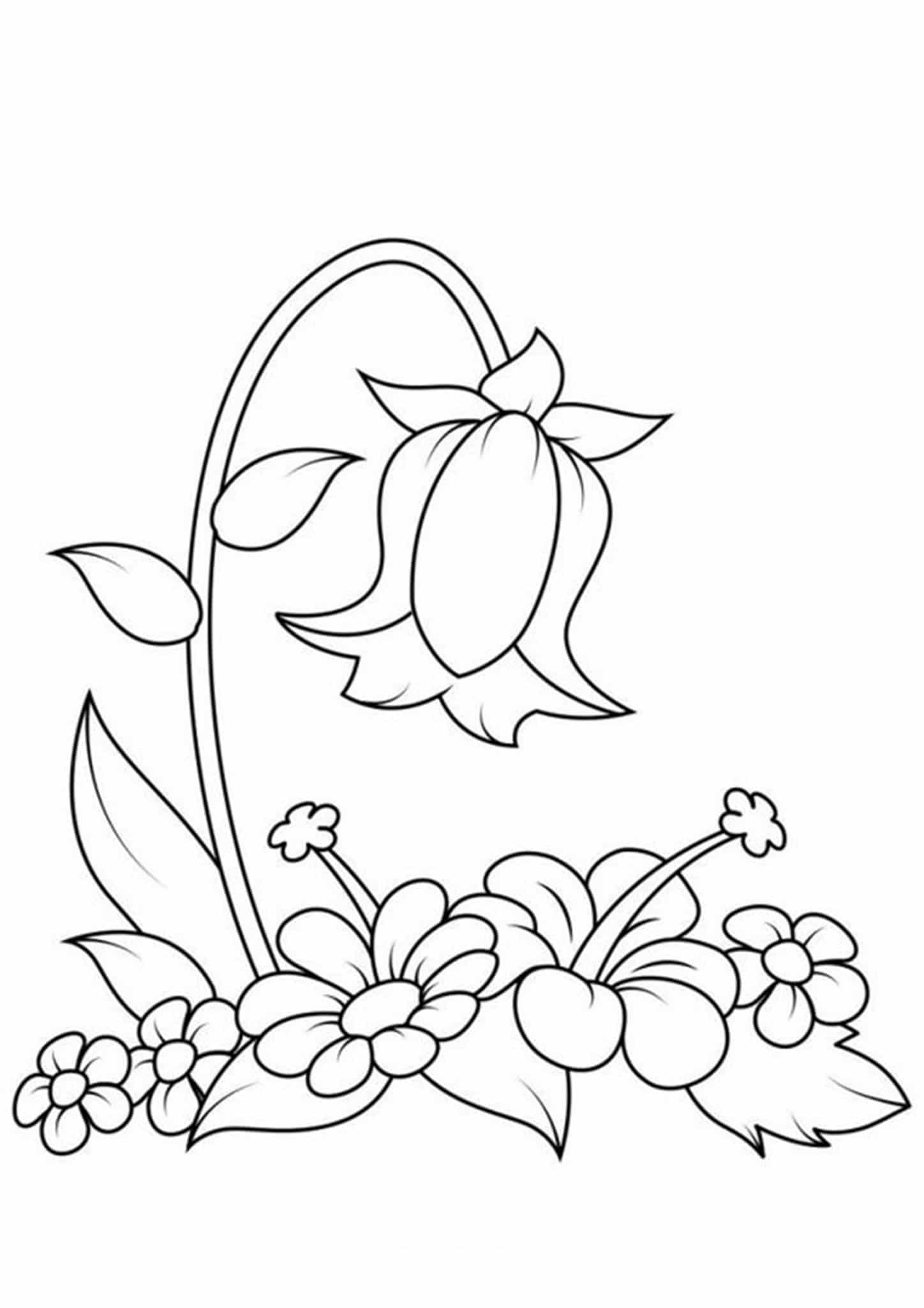 36 Intricate Advanced Flower Coloring Pages Printable 24