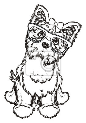 36 Lovely Yorkie Coloring Pages Printable 10