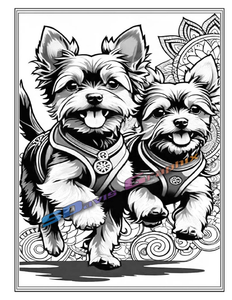 36 Lovely Yorkie Coloring Pages Printable 11