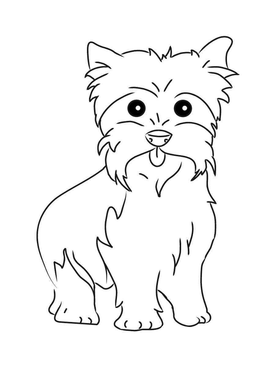 36 Lovely Yorkie Coloring Pages Printable 12