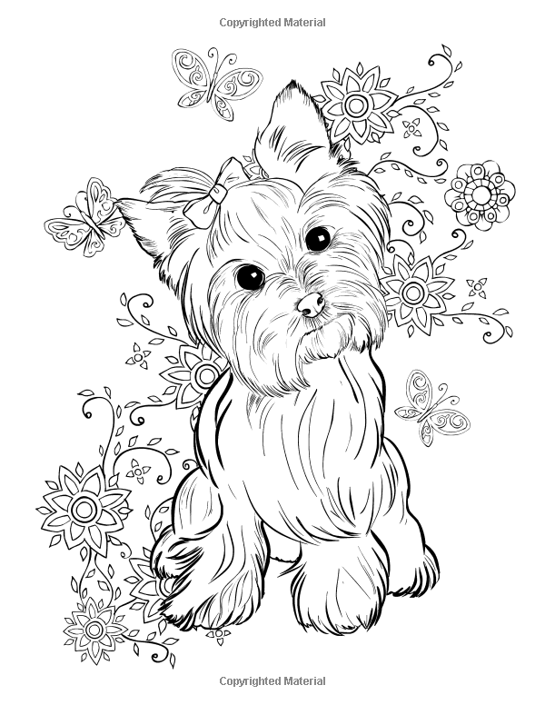 36 Lovely Yorkie Coloring Pages Printable 13